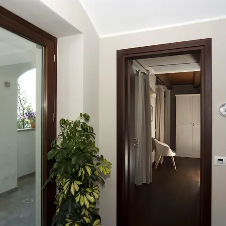 Il Falco E La Volpe 4*