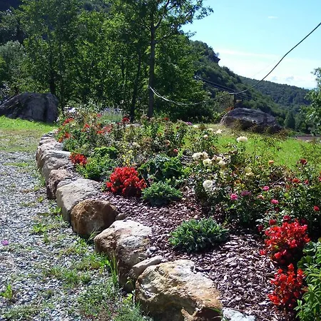 Il Falco E La Volpe 4*